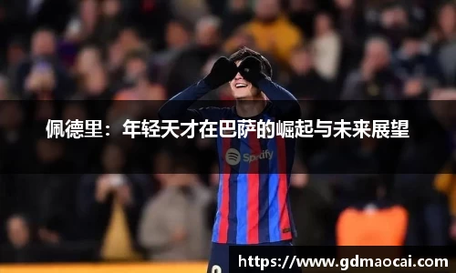 完美体育365官方网站