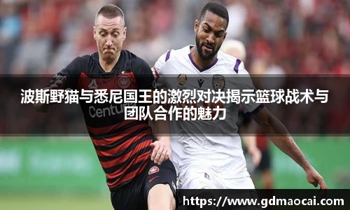 完美体育365官方网站