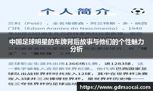 完美体育365官方网站